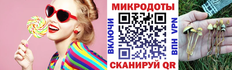 как найти закладки  Салехард  Псилоцибиновые грибы Psilocybine cubensis 